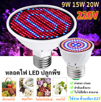 NEWMINE CN 48/60/80/126/200/300LEDs Plant Grow Light หลอดไฟ ปลูกพืช ต้นไม้ ผัก แคคตัส Cactus ผักไฮโดรโปนิค Hydroponic เรือนกระจก ต้น LED Grow Light สำหรับปลูกต้นไม้ ในห้อง ในคอนโด เร่งดอก เร่งผล เร่งใบ