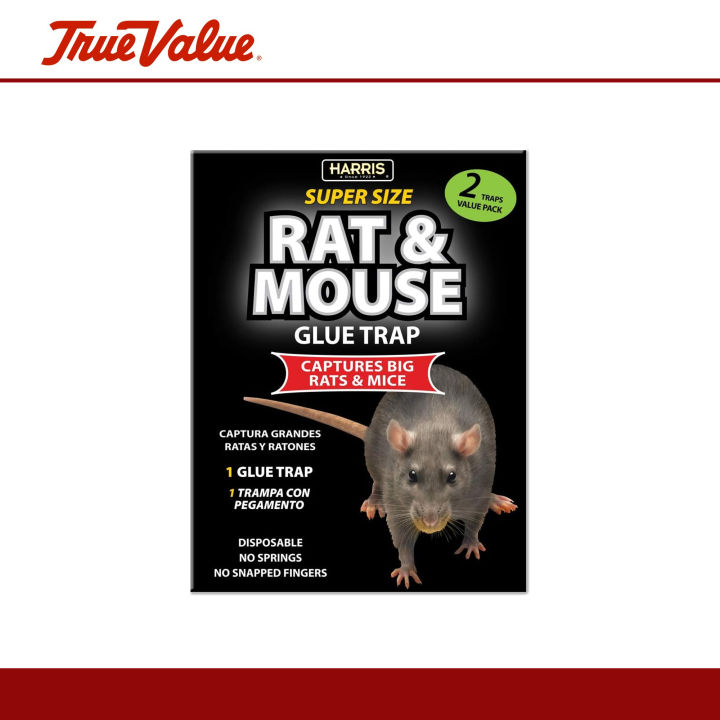 Harris Mouse Glue Traps (4-Pack) - PF Harris