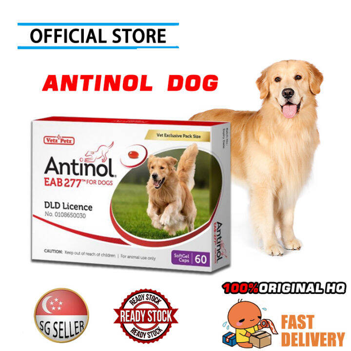 Antinol Dog EAB277 for Dogs & Cats / Nutritional Supplement for Joint