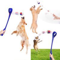 Ring Retractable Rope Ball and Ball Launcher Funny Dog Pet Toy Relive Anxiety Toy Dropshipping