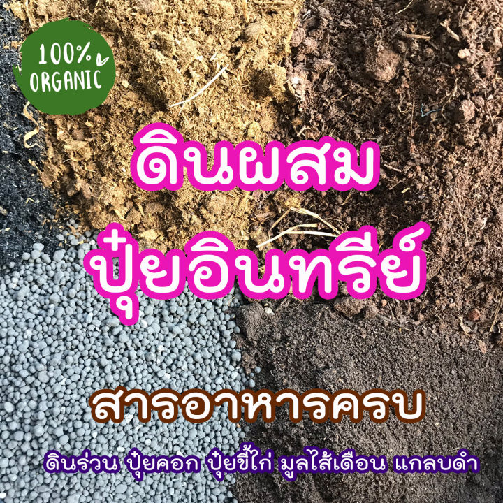 ดินผสมปุ๋ยอินทรีย์-ดินออแกนิค100-สูตรสารอาหารครบถ้วน-ดินพร้อมปลูก-สูตรดินคุณภาพดี-ดินปลูกต้นไม้-ดินปลูกพืช-ดินเพาะเมล็ด-1-kg