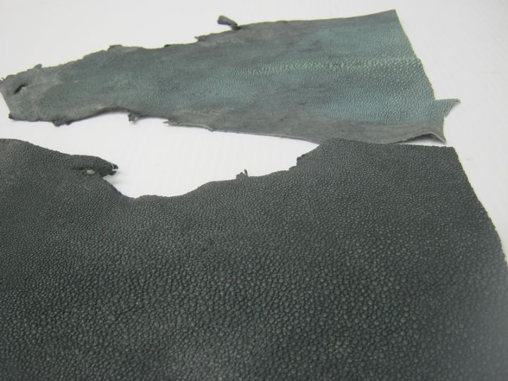เศษหนังปลากระเบนแท้-stingray-leather-สีจากโรงงานฟอก-น้ำหนัก-170-กรัม-sk577