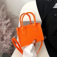 Felt Handbag Women Shoulder