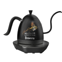 Brewitsa 600ml Champion signature Stainless Steel Gooseneck Electric Coffee Kettle