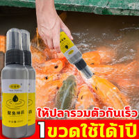 GUDAOXIANG หัวเชื้อตกปลา อาหารตกปลา หัวเชื่อตกปลา 1ขวดใช้ได้1ปี ให้ปลารวมตัวกันเร็ว เหยื่อปลานิล หัวเชื้อตกปลานิล หัวเชื้อปลานิล หัวเชื้อตกปลาสวาย หัวเชื้อล่อปลา สารเร่งปลากิน ผงกระตุ้นปลา ฟีโรโมนตกปลา หัวเชื้อตกปลาทะเล หัวเชื้อเหยื่อตกปลา