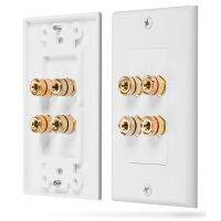 3X 4 Posts Speaker Wall Plate Home Theater Wall Plate Audio Panel for 2 Speakers