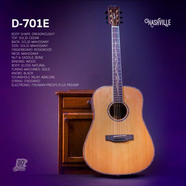 กีตาร์โปร่งไฟฟ้า-nashville-d-701e-guitar-free-bag