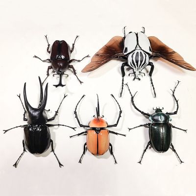【ผู้ขายซื่อสัตย์】ของเล่นโมเดลจำลองแมลงที่สามารถเคลื่อนย้ายได้ด้วงยูนิคอร์น Bandai