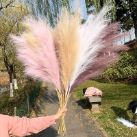 &amp;gt;110cm Silk Artificial Pampas Grass Detachable Pampas Plant Fake Flower Bouquet for Wedding Decoration Homes Living Room Decor.