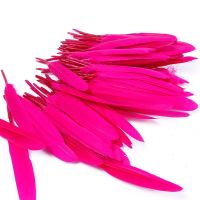✈READY STOCK✈100Pcs Colorful goose feather Cosplay DIY