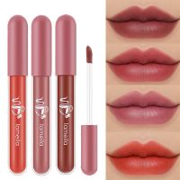 Silky Matte Lip Gloss 24 Hour Lasting Color Rendering Natural Moisturizing Waterproof Women Advanced Sexy Lip Makeup Lipstick