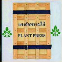 แผงอัดพรรณไม้ PLANT PRESS