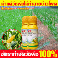 ?เห็นผลทันที? ฆ่าหญ้าข้าวโพด 100ML เข้มข้นสุด ยาชุดข้าวโพด นิโคซัลฟูรอน4%+อาทราซีน20% ยาฆ่าหญ้าข้าวโพด อัตรากำจัดวัชพืช100% ฆ่าแค่วัชพืชไม่ทำลายข้าวโพด ใช้1ครั้ง นาข้าวโพด100 ปีไม่มีวัชพืช ยาฆ่าหญ้าในข้าวโพด ยาฉีดหญ้าข้าวโพด ยาฆ่าหญ้าไร่ข้าวโพด