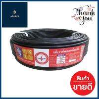 สายไฟ NATION รุ่น THW-A 1x16 ตรม. ขนาด 100 ม. สีดำ **สอบถามเพิ่มเติมได้จ้า**