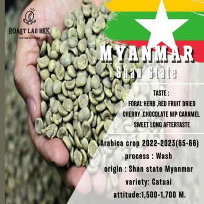 สารกาแฟ Myanmar green bean arabica100% อาราบิก้า พม่า รัฐฉาน เกรดAA