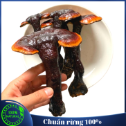 Nấm Linh Chi Đỏ Việt Nam 500g Nguyên Tai