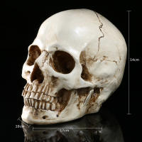 JAPAN โมเดล หัวกะโหลก สุดโหด วัสดุ เรซิ่น Resin กะโหลกผี Skull ตกแต่งบ้าน ปาร์ตี้ฮาโลวีน Halloween โครงกระดูก หัวกะโหลกจำลอง ของขวัญ Gift  Limited edition ของสะสมคอลเลคชั่นพิเศษ Collection