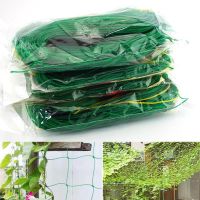 【CW】 4 Sizes Garden Climbing Net Holder Trellis Netting Mesh Support Growing Fence