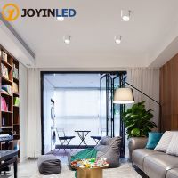 LED Dimmable Ceiling Art Spotlight - Indoor Surface Mounted COB Lighting -Stepless Dimming Light Ceiling Downlight-Wall Lamp  by Hs2023