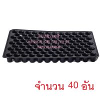 (40แผง)  papamami Nursery Tray ถาดเพาะชำ สีดำ 104หลุม ถาดเพาะกล้า ถาดเพาะเมล็ด ถาดเพาะต้นอ่อน ถาดเพาะเมล็ด ถาดเพาะข้าว ถาดหลุมปลูกผัก ถาดปลูกผัก ถาด