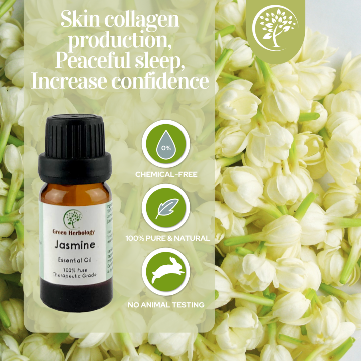 Jasmine Essential Oil 5ml Lazada