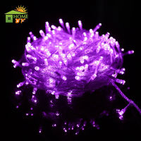 Pack 1 Set Christmas Light LED Waterproof Flashing Light (Wavy White) 8 Meter 100LED Decoration Light