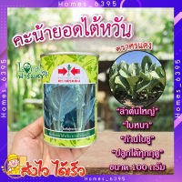 คะน้ายอดไต้หวัน 100 กรัม ?  เมล็ดพันธุ์ ตราศรแดง คะน้า คะน้ายอด เมล็ดพันธุ์ผักสวนครัว เมล็ดคะน้า อัตราการงอกสูง