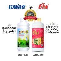 ของแท้ 100% ซีโฟ (1 ลิตร) + เอฟอช (1 ลิตร)  ปุ๋ยน้ำซีโฟ ช่วยการเติบโต + เอฟอช Aforch  สารจับใบ