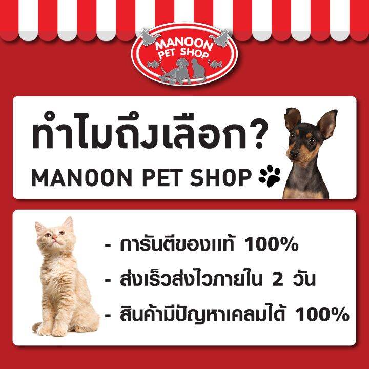 manoon-bearing-anti-tick-and-flea-long-haired-dog-shampoo-แบร์ริ่ง-แชมพูสุนัข-ขจัดเห็บ-หมัดสำหรับสุนัขขนยาว-3000-มล