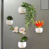 Simulation Plant Refrigerator Magnets Bonsai Succulent Plant Magnet Button Potted Plant Refrigerator Sticker Home Decoration