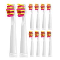 10PCS Electric Toothbrush Heads Replacement Head for FW-507/508/551/917/959, FW-D1/FW-D3/FW-D7/FW-D8