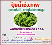 ปุ๋ยน้ำชีวภาพ ธาตุไนโตรเจนสูง ผลิตจากแหนแดงสด100%