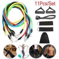 11 Pcs/Set Fitness Latex Resistance Bands Set Fitness Rubber Bands Training Exercise Yoga Pull Rope Gym Equipment Elastic Bands Exercise Bands