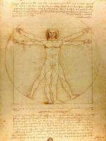 Pintura Clásica Famosa Del Hombre De Vitruvio,Estudio De Prosciones Por ลีโอนาร์โดดาวินชี,Impresiones De Póster,Arte ผนัง,Pintura En Lienzo,ภาพพิมพ์ผ้าใบ1ชิ้นภายในกรอบไม้หรือไร้กรอบ (ขนาดภาพสามารถปรับแต่งได้)