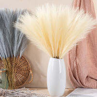 24ชิ้น Pampas Reed Grama Simulação Flor Folhas Artificiais Plantas Falsas Diy Vaso Casa Festa De Casamento Decoração Da Sala Estar