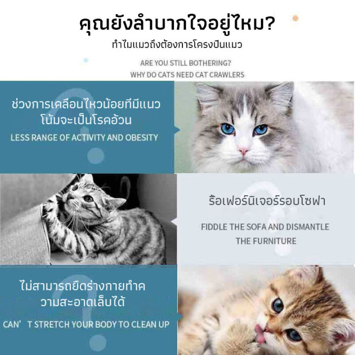 คอนโดแมว-คอนโดแมวถูกๆ-6ชั้น-cat-condo-มี3สีให้เลือก-บ้านแมว-ของเล่นแมว-ที่นอนแมว-เสาลับเล็บแมว-ที่ฝนเล็บแมว