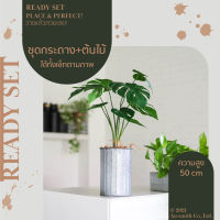 Homequarterbkk-Joyful Set-Monstera ต้นมอนสเตอร่า ชุด เซ็ทพร้อมโชว์ ของตกแต่งบ้าน สุดคุ้ม แจกันสังกะสี พร้อม ต้นไม้ประดิษฐ์ ราคาต่อ 1 ชุด