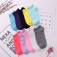 【Sock shop】20ชิ้น10คู่/ล็อตลูกอมสีผู้หญิงถุงเท้าข้อเท้าตลกน่ารักสีทึบถุงเท้าเรือสตรีเลดี้สาวศิลปะถุงเท้าสั้น Sox