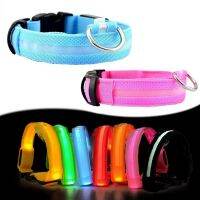 [YP] Colier Lumineux Pour Chien Dog CollarUp Led Pet Dog CollarPowered Collar Dog Cat Collar Suministros Para Perros