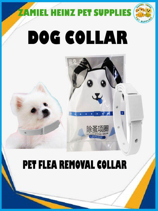 Pet Flea Removal Collar for Dogs Lazada PH