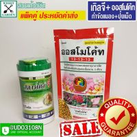 สตาร์เกิลจี 250กรัม+ปุ๋ยละลายช้า 100 กรัม สูตรเสมอ เซ็ทคู่สุดคุ้ม ราคาประหยัด บำรุงต้นและกำจัดแมลงทำลายรากและดูดซึมทั้งต้น