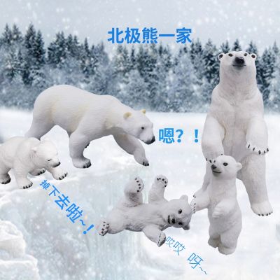 French PAPO polar bear set simulation animal childrens toy model brown bear ornaments early education childrens cognition