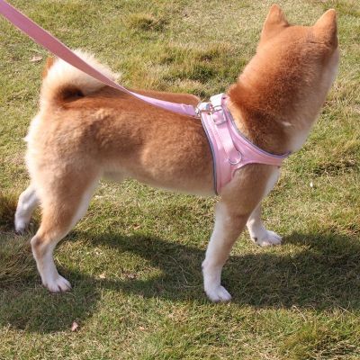 New Pet Dog Harness Adjustable Soft Breathable Leash Set For Small Medium Dogs Puppy Collar Cat Pet Dog Chest Strap Leash