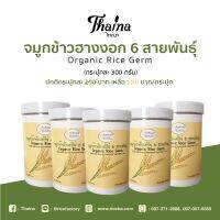 จมูกข้าวบด 6 ชนิด Riceberry GABA (ขนาด 300 กรัมX1 กระปุก)