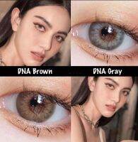 ?ขายดีที่1 มีค่าสายตา? Wink Dna Gray Brown บิ๊กอาย สุดปัง คอนแทคเลนส์ รายเดือน มีอย แถมตลับฟรี เลนส์นิ่ม สวยปังมาก