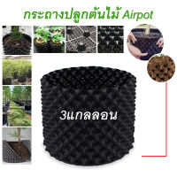 กระถางปลูกต้นไม้ Air Pot กระถางมีรู กระถางเพิ่มรากเร็วขึ้น 2 เท่า กระถางต้นไม้ มี 7 ขนาดให้เลือก