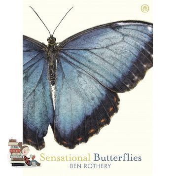 Clicket ! &gt;&gt;&gt; SENSATIONAL BUTTERFLIES