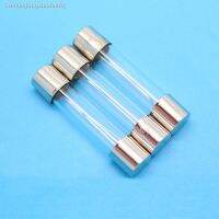 ﹉✽✚ 6x30mm F10A 250V Glass fuse tube 100pcs