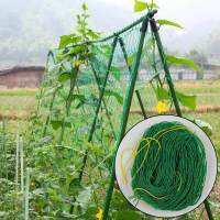 1.8x1 8M/1.8x2 7M/1.8X3.6M Melon ผลไม้ Morning Glory Vine สุทธิเถาดอกไม้แตงกวาโครงไม้เลื้อยด้านหลังตาข่ายพืชปีนเขาสวนอุปกรณ์