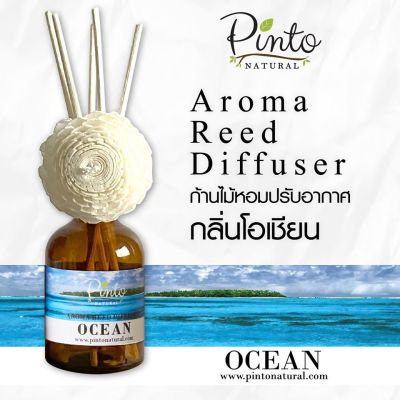 Pinto Natural Aromatic Reed Diffuser ก้านไม้หอมปรับอากาศ กลิ่นโอเชียน Ocean ขนาด 50ml. และ 100ml.